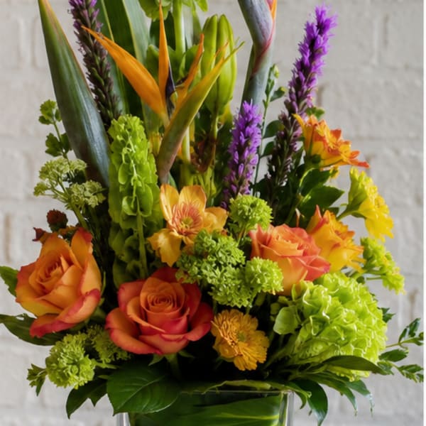 Sun over Tampa Bay by Petal Perfection