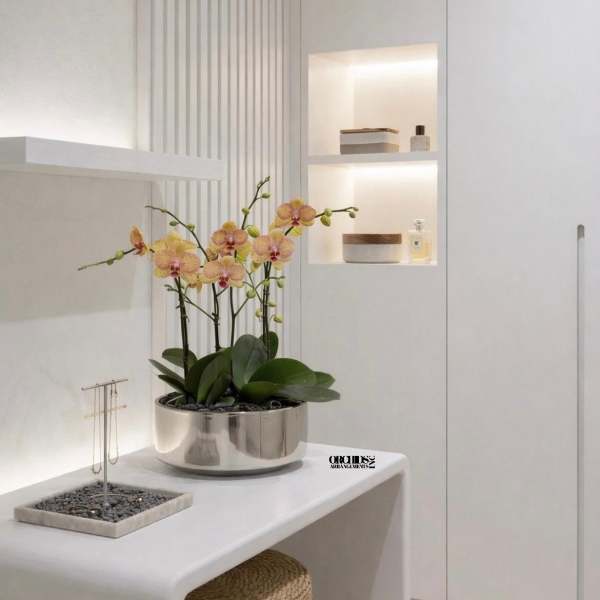 Potted orchids in a silver bowl on a white table
