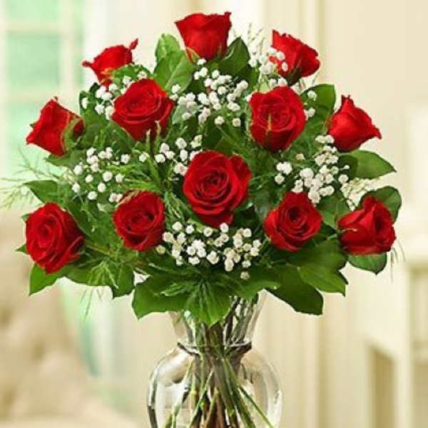 Red roses arranged in a clear glass vase with white filler flowers
