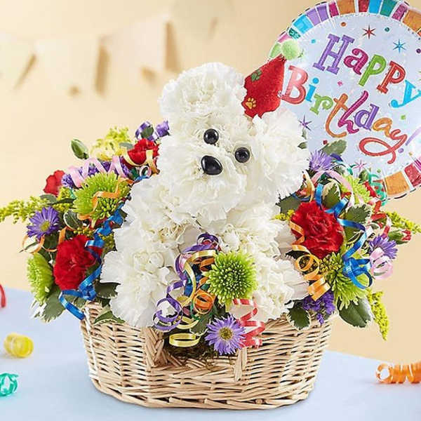 Another Year Rover