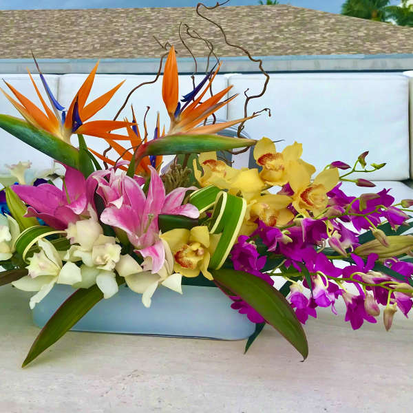 Tropical flower arrangement with bird of paradise and orchids in a low container