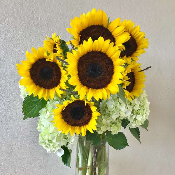 Brilliantly Bloomed