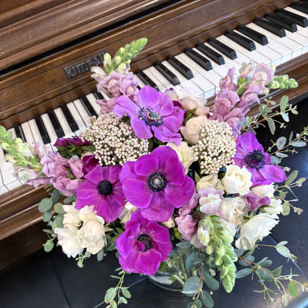 Purple anemones