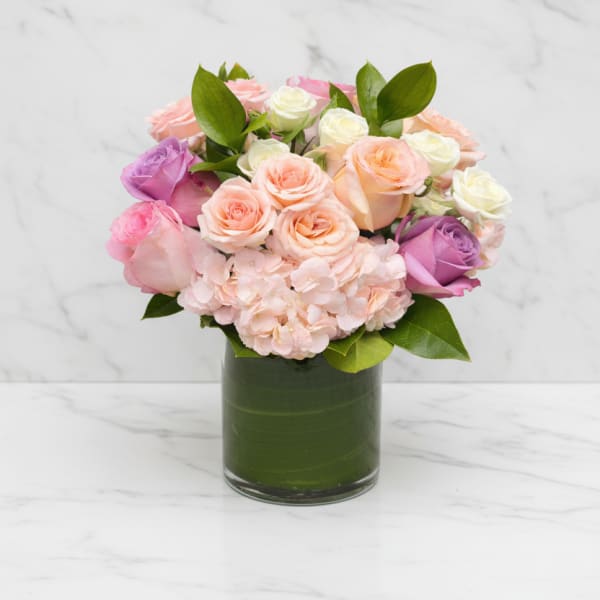 Blush and Bloom