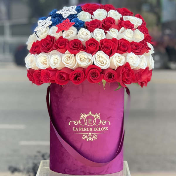 Land Of The Free