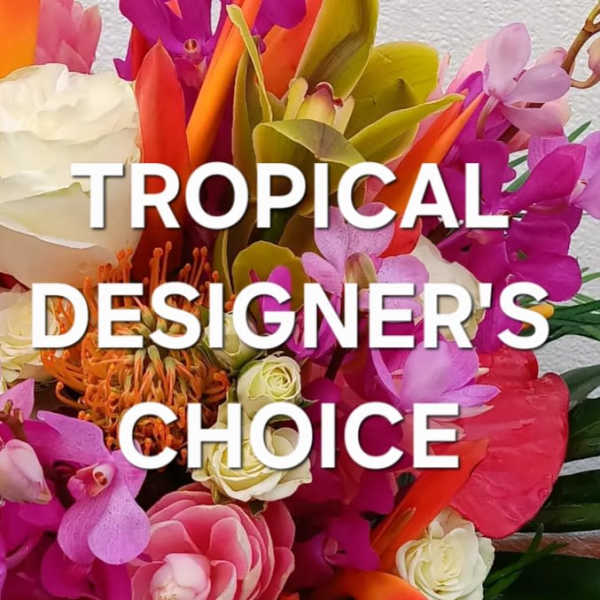 Tropical Designer's Choice Arrangement