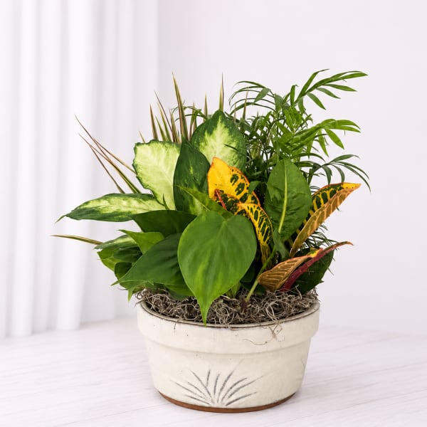 Planter