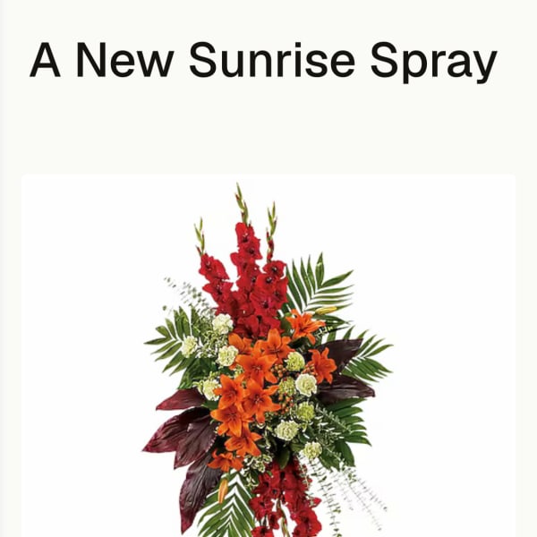 NEW SUNRISE SPRAY