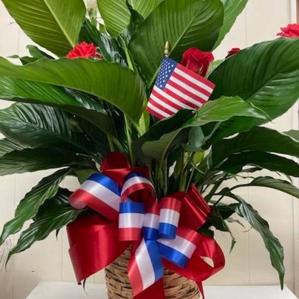 Potted green plant with red, white, and blue ribbons and a small American flag