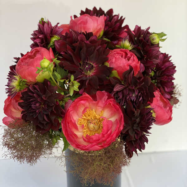 The Dahlia 'Nuit D' Ete' & The Coral Charm