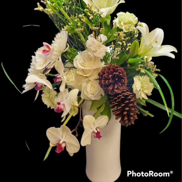 Sunshine in Paris