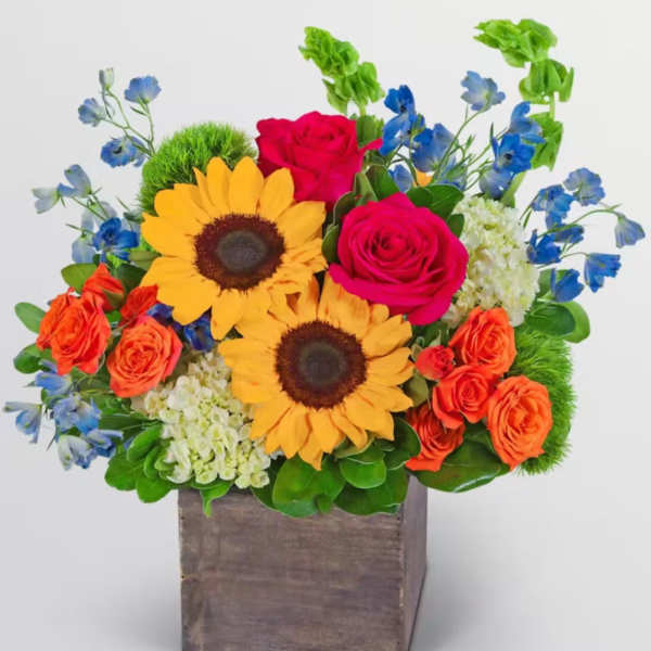 Sunny Bloom