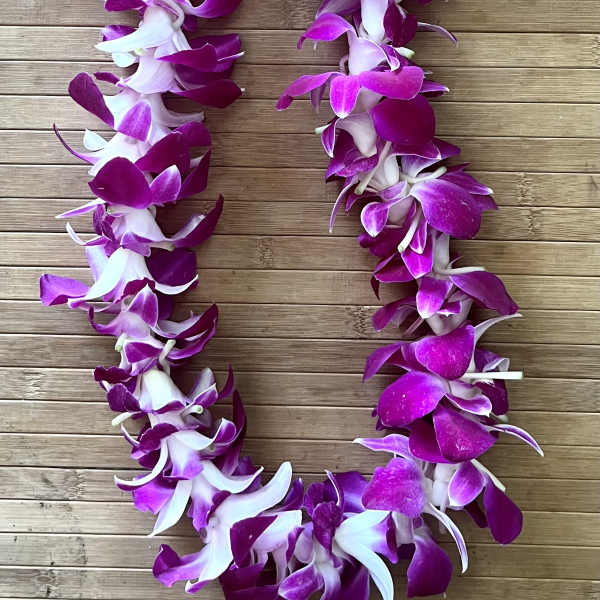 Single orchid lei