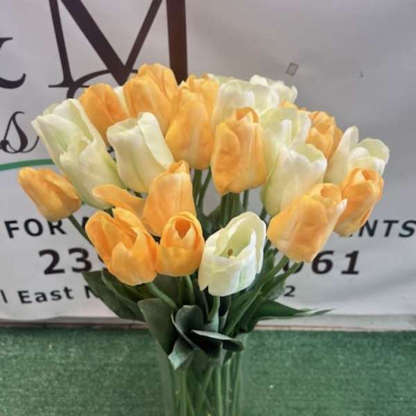 Silk Tulips
