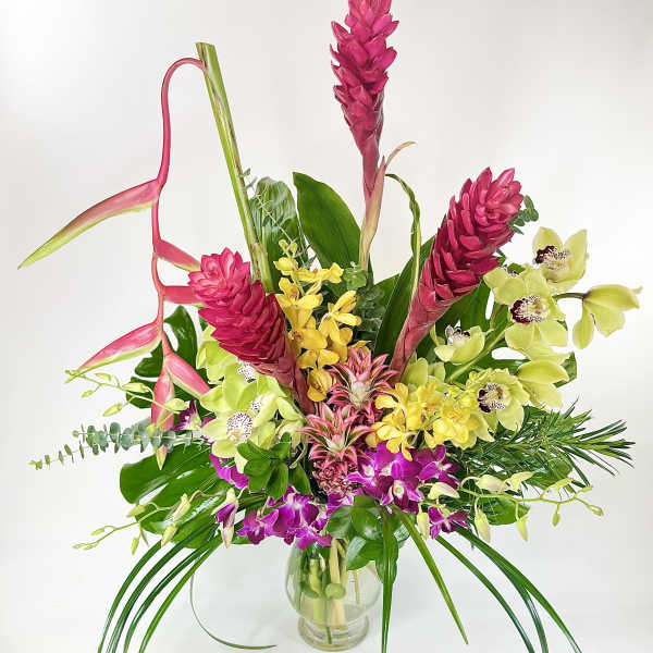 Orchids Galore