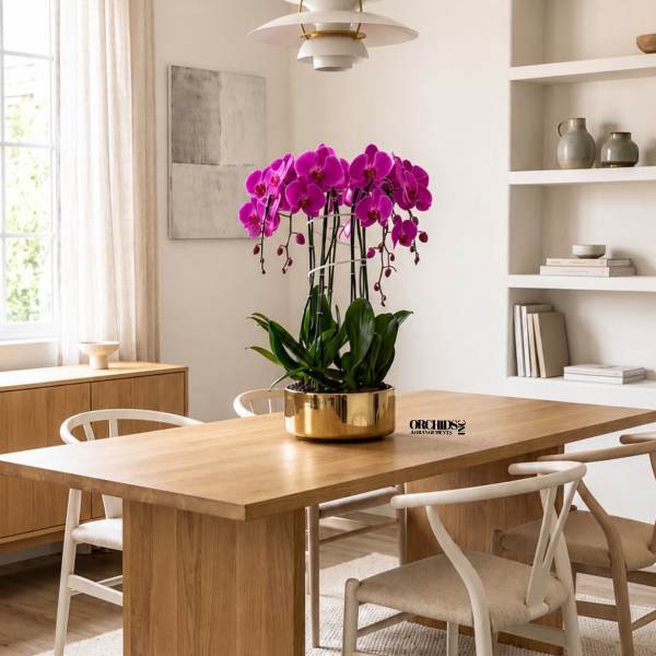 Purple Phalaenopsis Orchid Arrangement – 6 Stem Exclusive Design