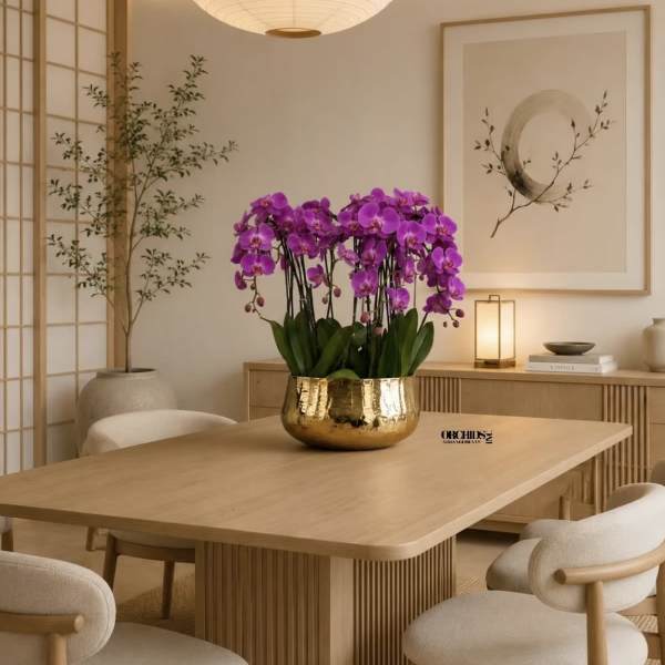 Purple Phalaenopsis Orchid Arrangement – 12 Stem Exclusive Design