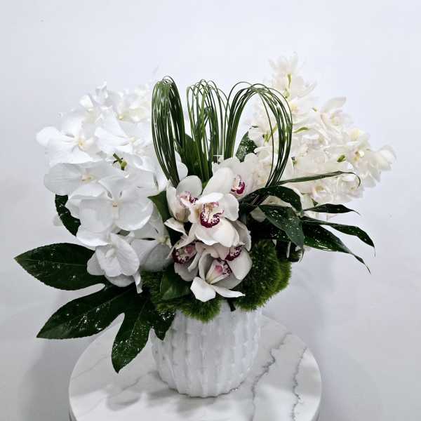 White orchid arrangement in a white vase with green foliage