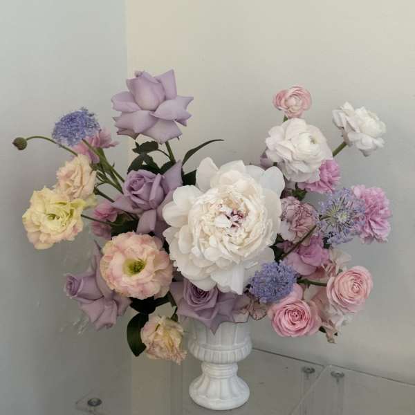 Blush Garden