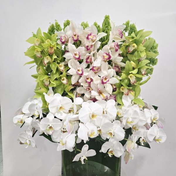 Orchidaceous