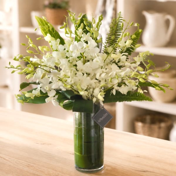 White orchid arrangement in a tall glass vase
