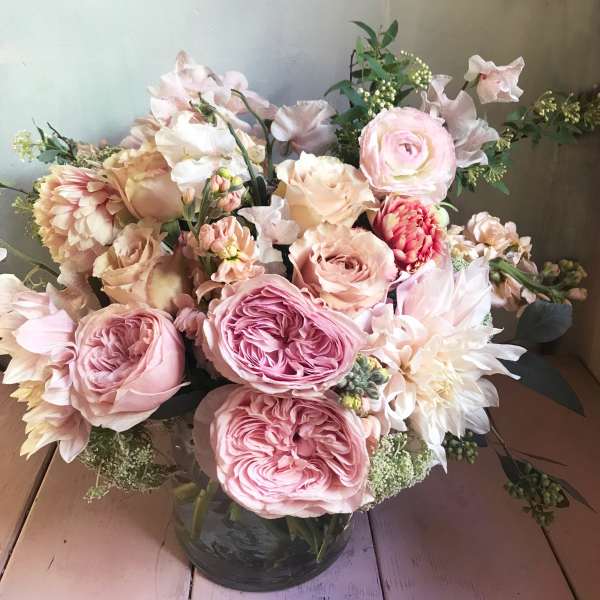 The Audrey Rose