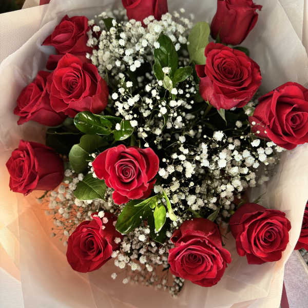 Bouquet of red roses with white baby's breath in pale wrapping