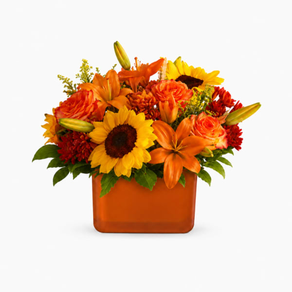 Amber Light