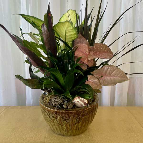 Dish Garden, 6-Inch Ceramic Container