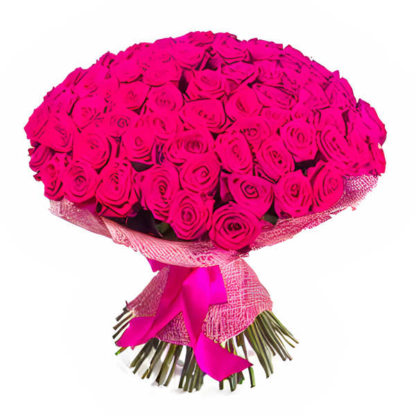 Bouquet of bright pink roses wrapped in pink mesh with a satin ribbon