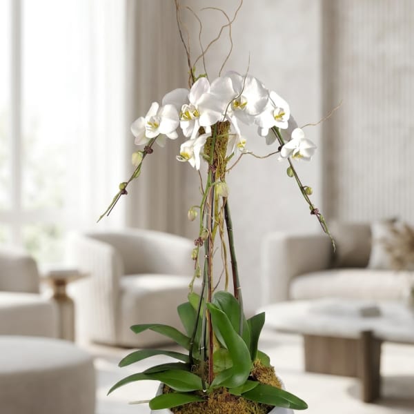 White orchid plant in a white bowl planter with tall decorative branches