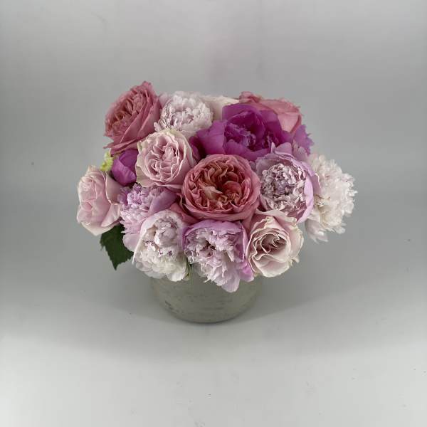 Gigi