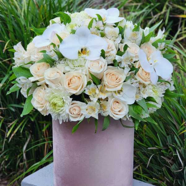White and blush bouquet in a pink cylindrical box
