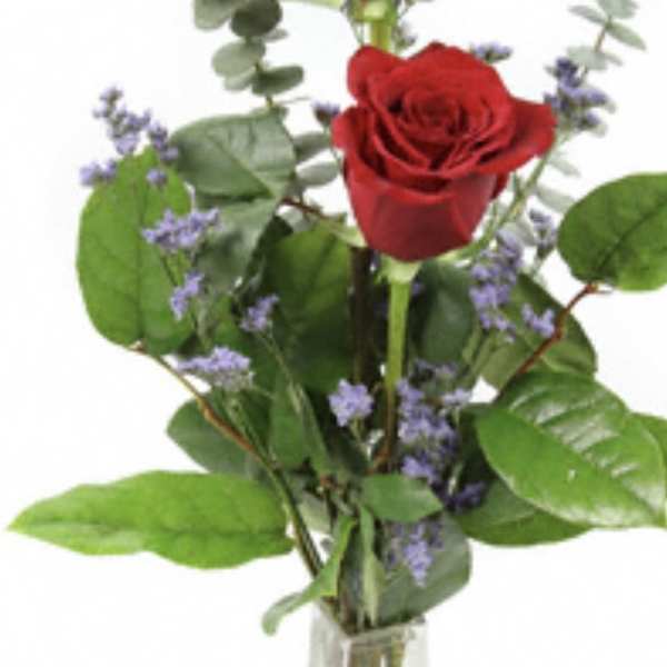 Two red roses in a clear glass vase with purple filler flowers