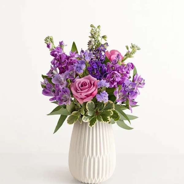 Lavender Expressions