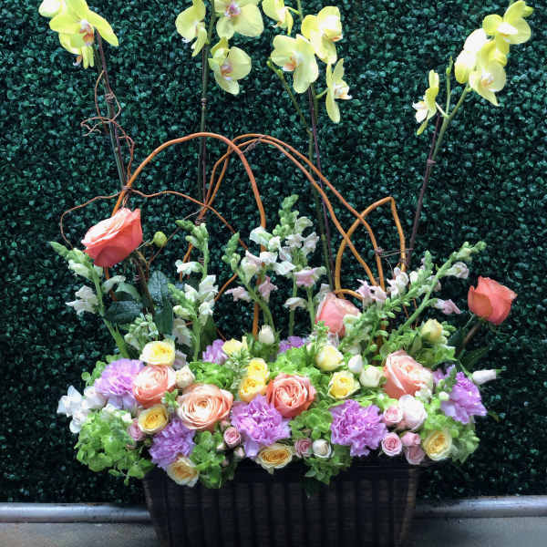 MY LOVELY GARDEN
