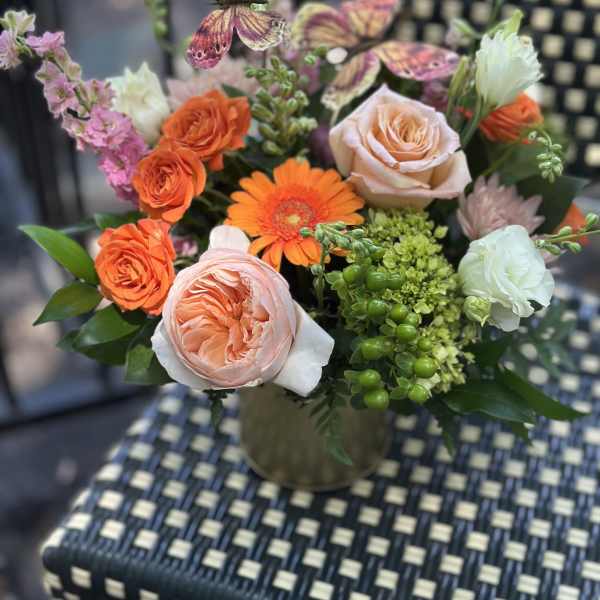 Garden of Wings