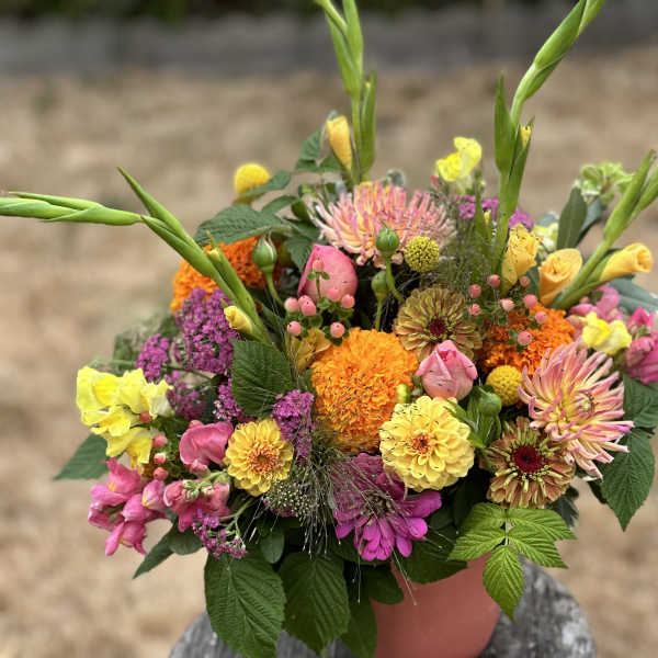 Colorful mixed bouquet in a pink container with tall green stems