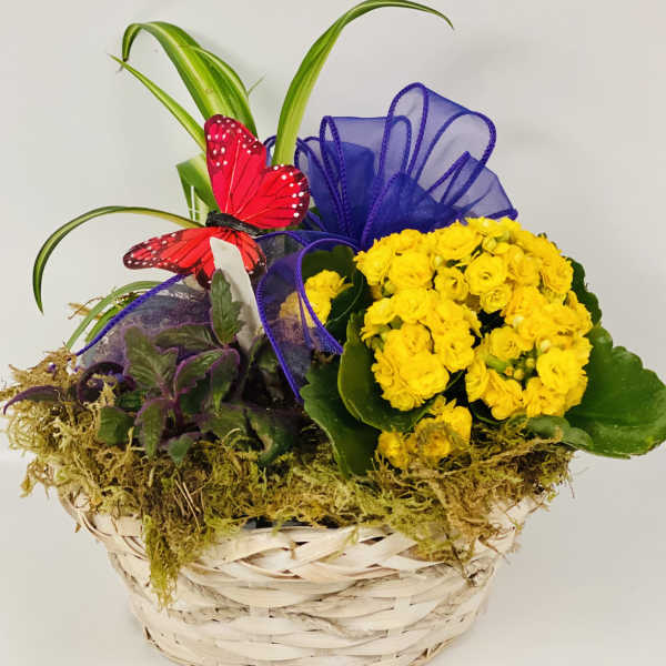 Yellow flowers in a woven basket with a purple ribbon and red butterfly