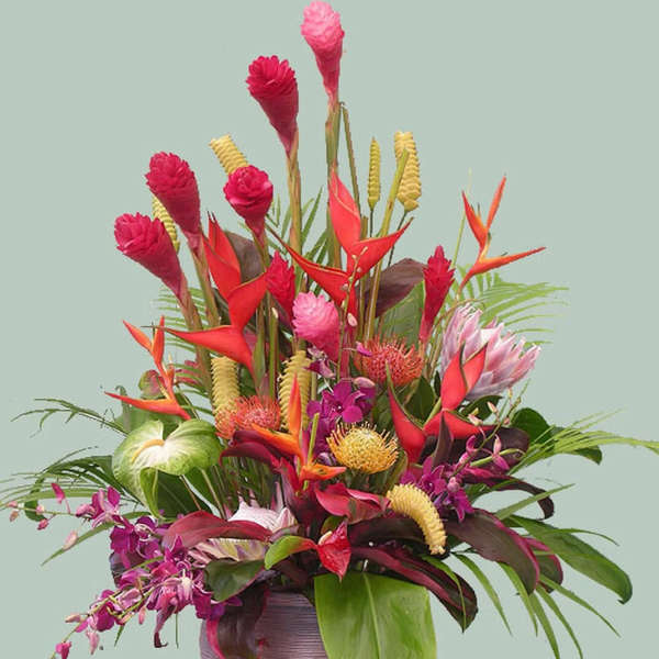 Tropical flower arrangement in a round vase with pink, red, and orange blooms