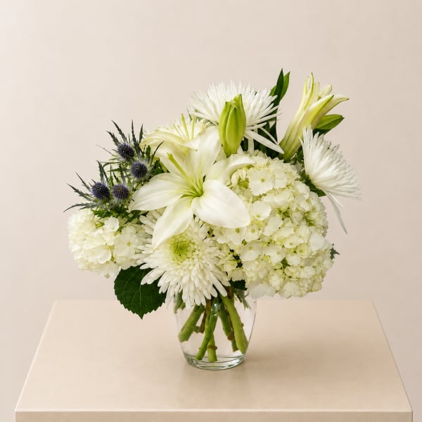 Serene White Elegance