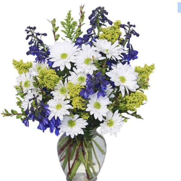Daisy and delphinium