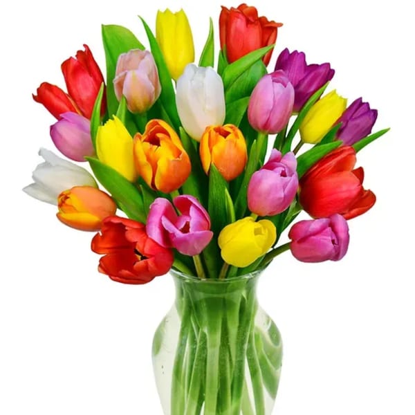 Rainbow Tulip Bouquet - 20/30/40 Stems