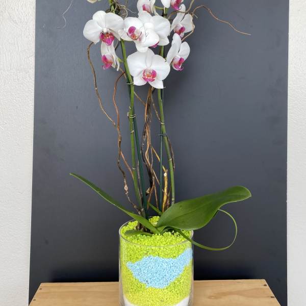 New wave