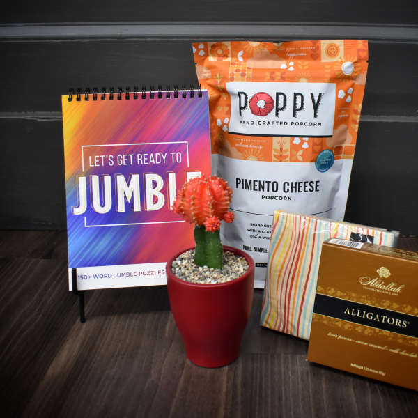 Gift set with a small potted cactus, popcorn, puzzle book, and chocolates
