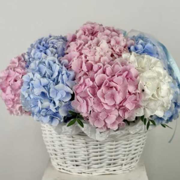 elegance