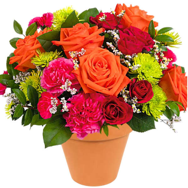 Mixed bouquet of orange and pink flowers in a terracotta pot
