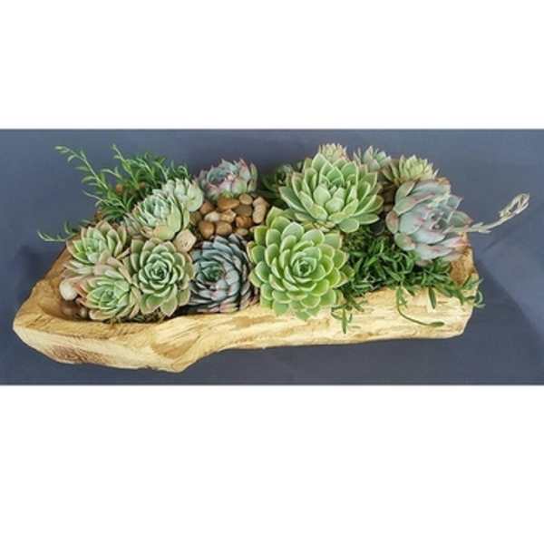 Succulent arrangement in a wooden tray with moss and pebbles