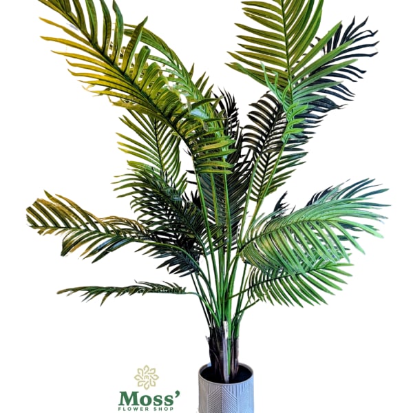 Potted palm plant in a textured gray container