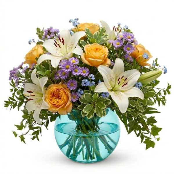 AQUA SENSATION